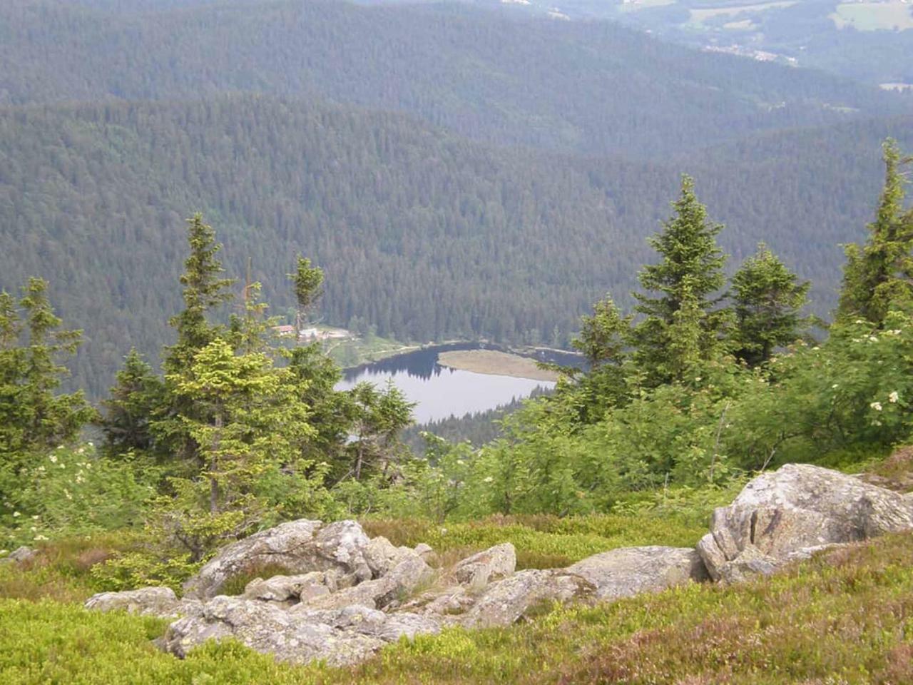 Gaestehaus Schmalzreich Lam Exteriér fotografie