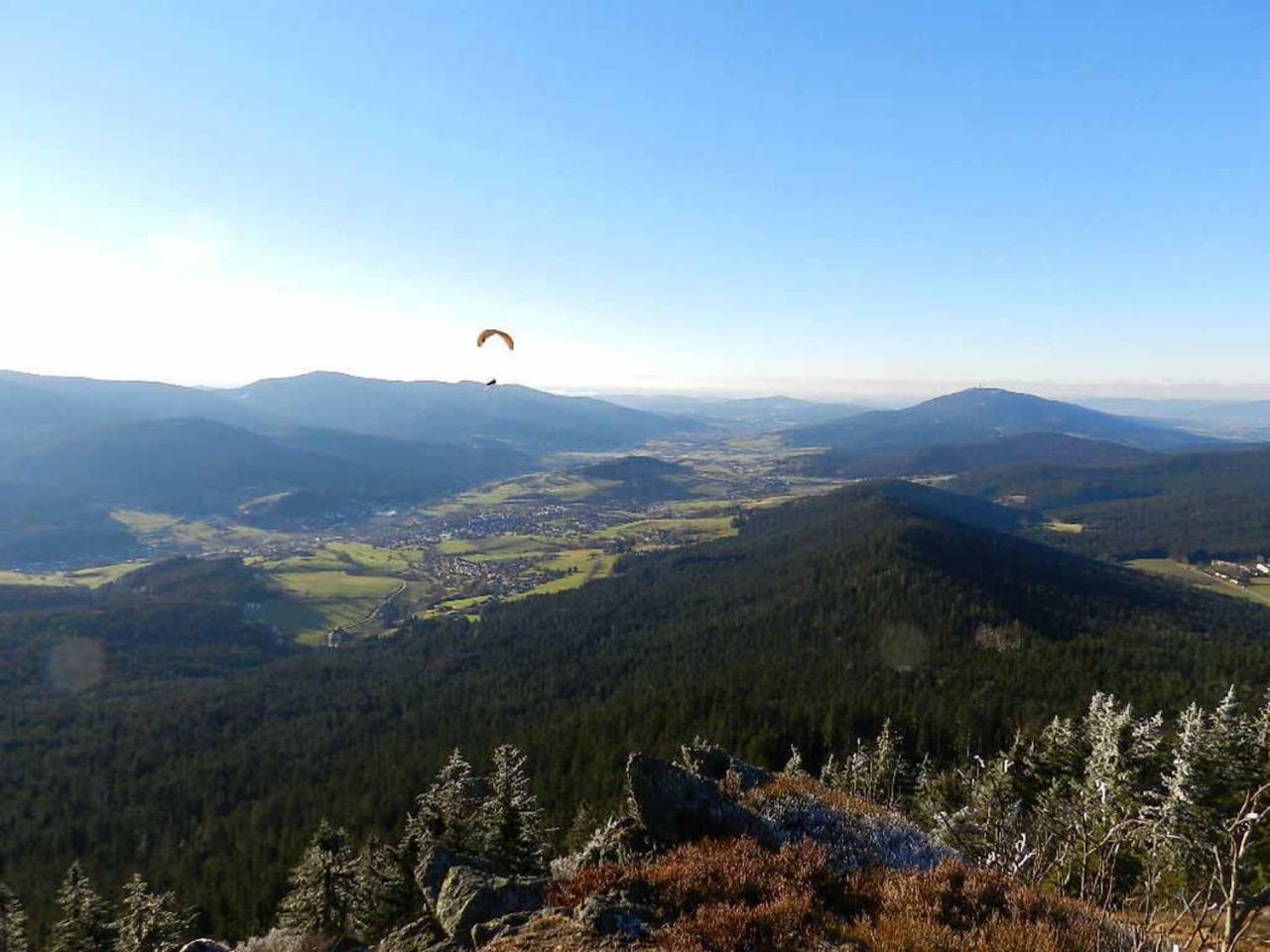 Gaestehaus Schmalzreich Lam Exteriér fotografie