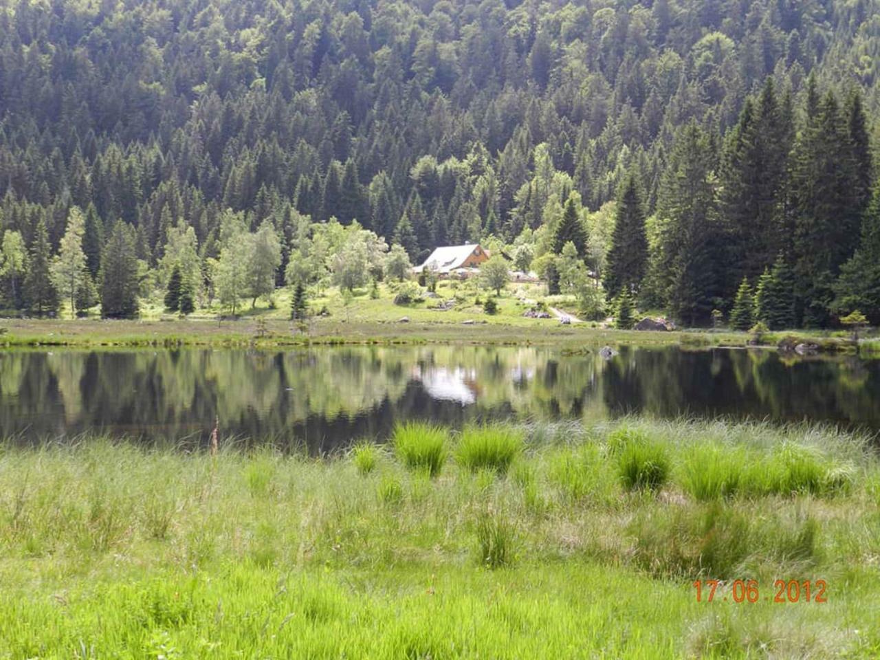 Gaestehaus Schmalzreich Lam Exteriér fotografie